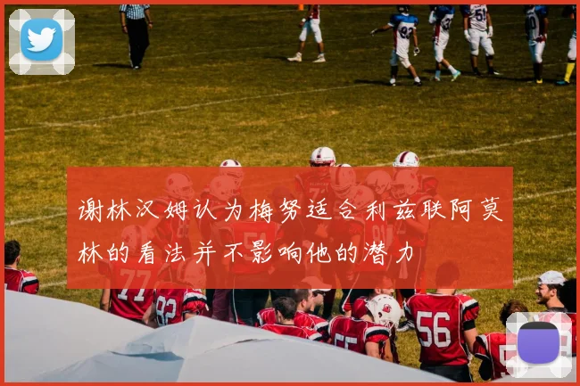 谢林汉姆认为梅努适合利兹联阿莫林的看法并不影响他的潜力