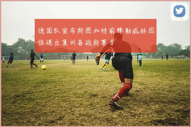 德国队宣布斯图加特前锋勒威林因伤退出集训备战新赛季