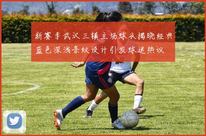 新赛季武汉三镇主场球衣揭晓经典蓝色深浅条纹设计引发球迷热议